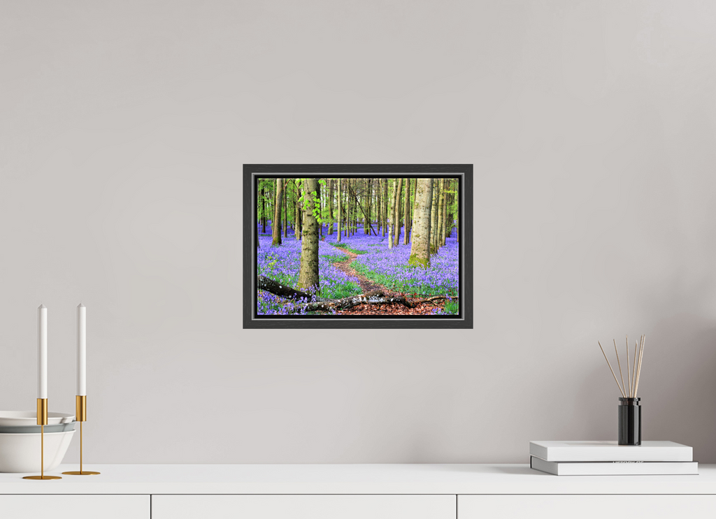 30 x 20 cm, Glossy Canvas with Black Frame Bluebell Forest in England – Nature Print