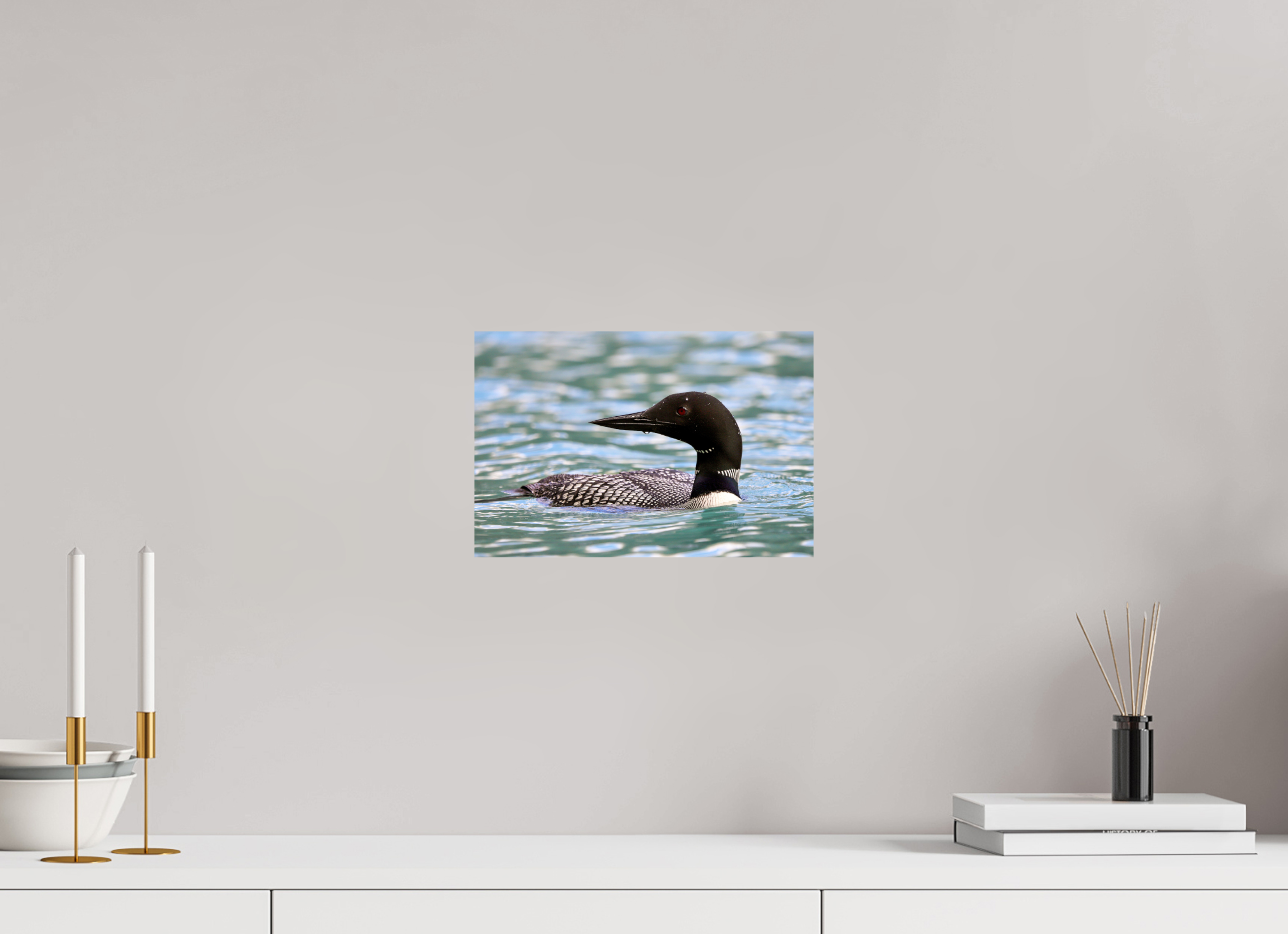 30 x 20 cm, Glossy Fine Print - NO FRAME Common Loon Close-Up – Wildlife Print