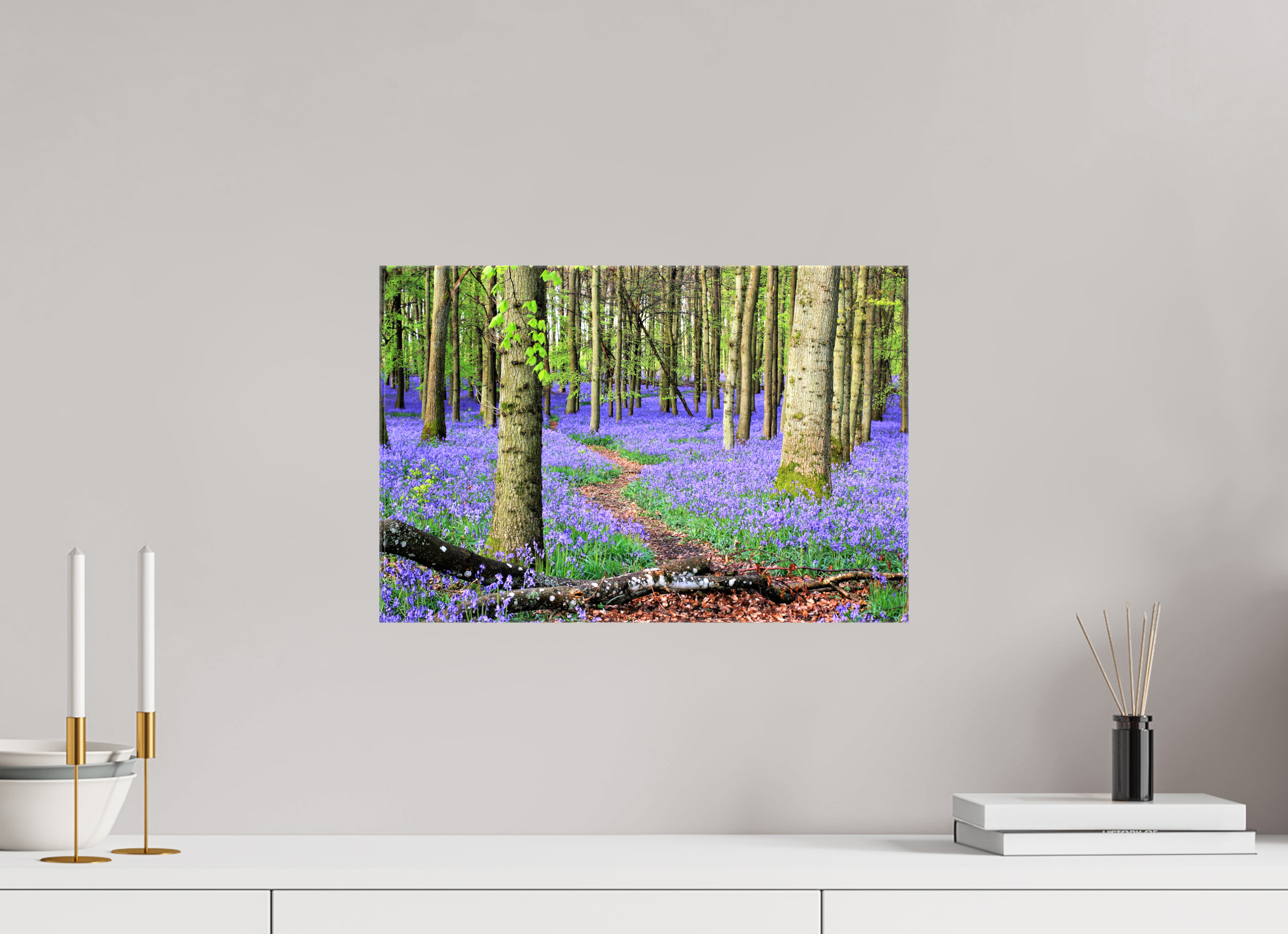 45 x 30 cm, Canvas Print - NO FRAME Bluebell Forest in England – Nature Print