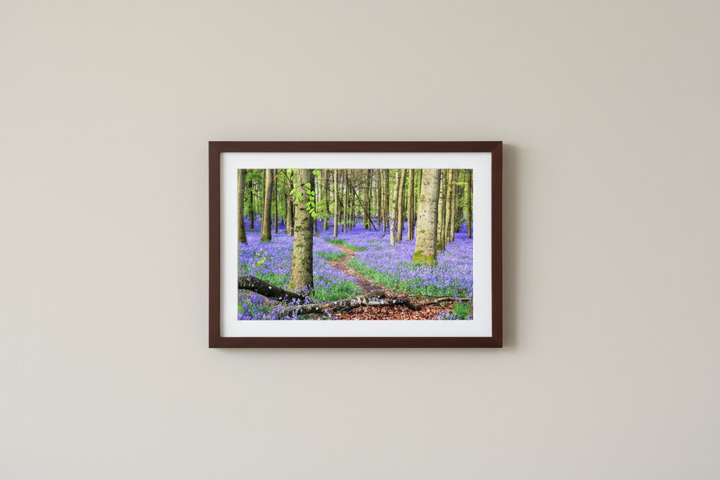 Main image Bluebell Forest in England – Nature Print