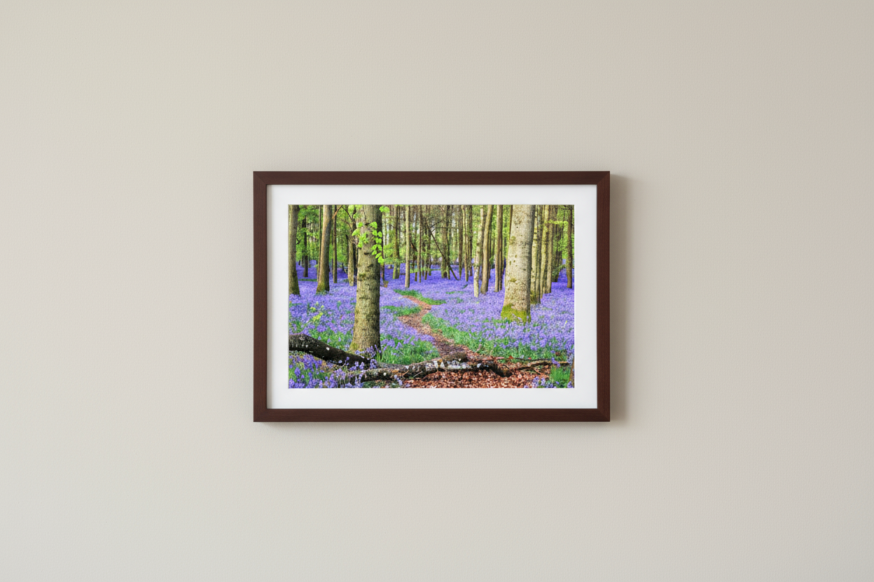 Main image Bluebell Forest in England – Nature Print