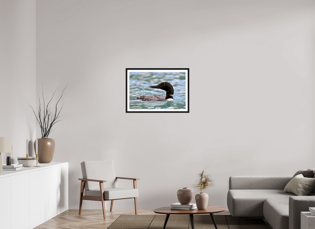 75 x 50 cm, Glossy Fine Art Print with Black Frame Common Loon Close-Up – Wildlife Print