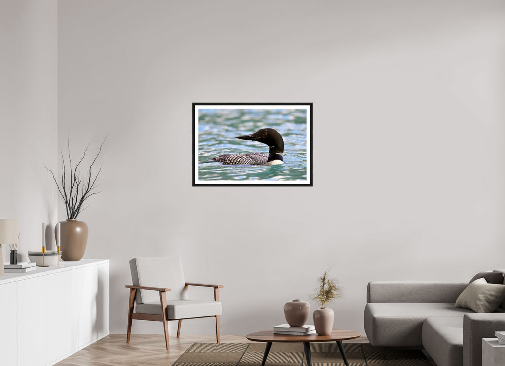 90 x 60 cm, Glossy Fine Art Print with Black Frame Common Loon Close-Up – Wildlife Print