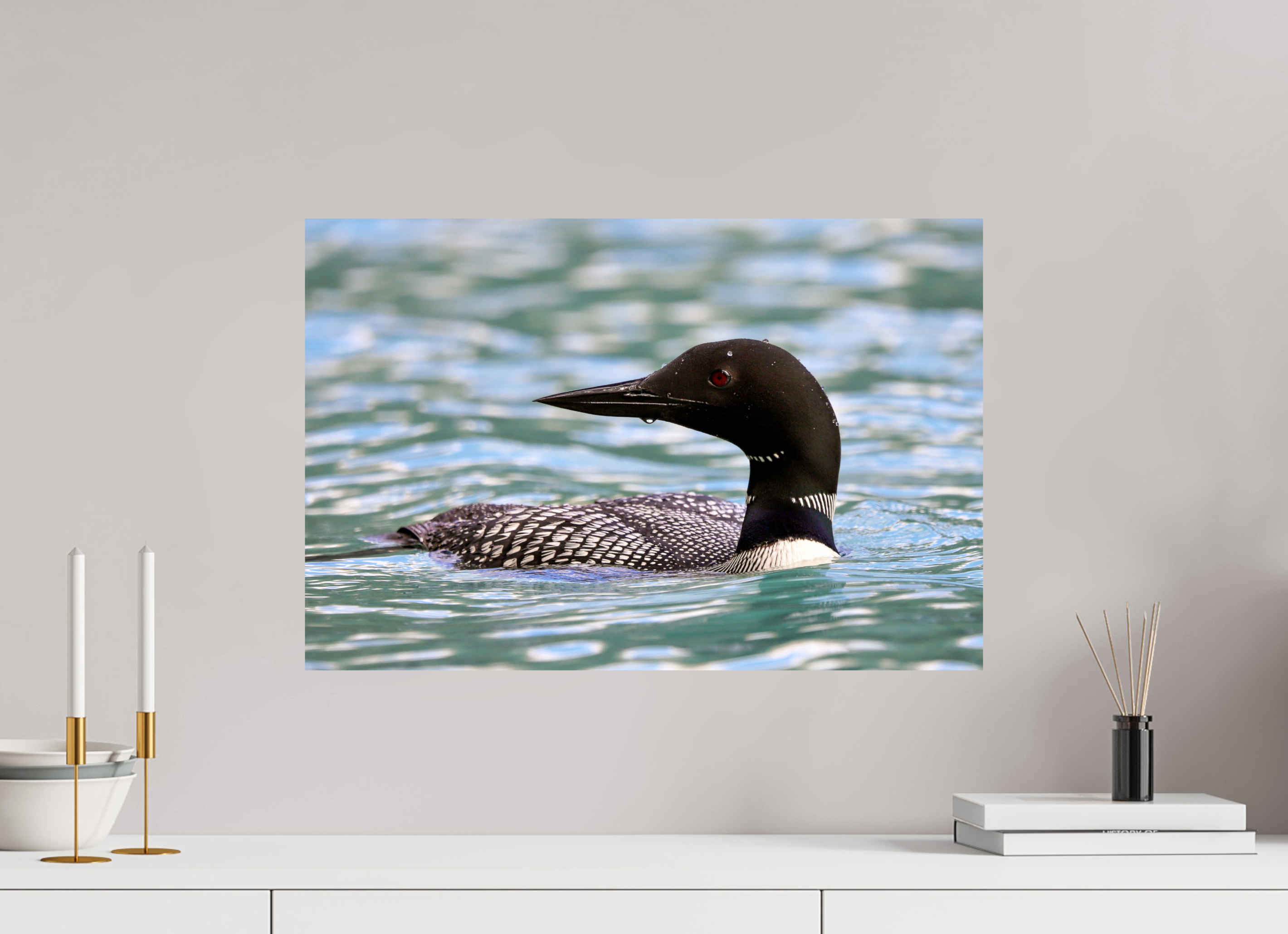 60 x 40 cm, Glossy Fine Print - NO FRAME Common Loon Close-Up – Wildlife Print