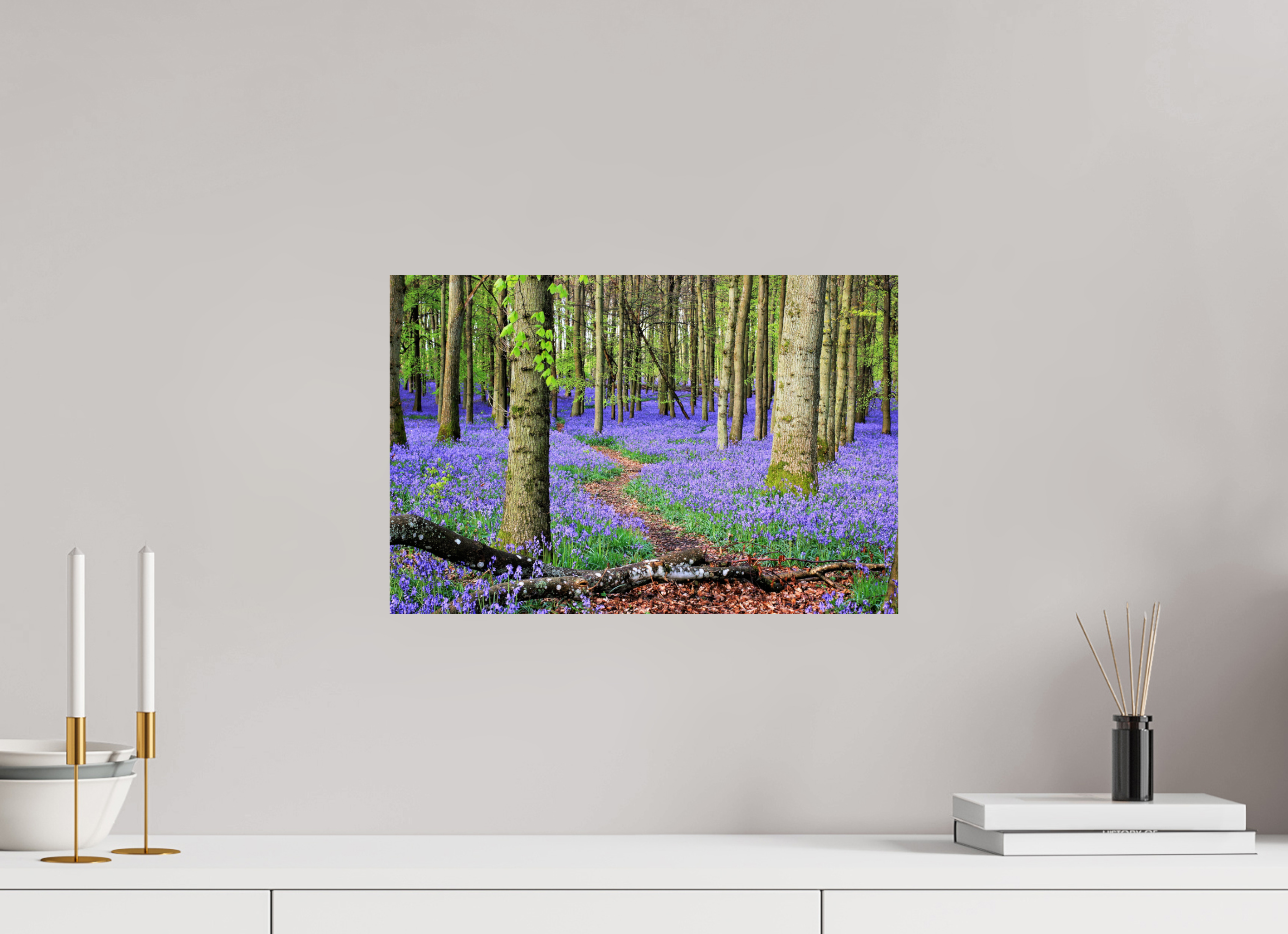 45 x 30 cm, Glossy Fine Print - NO FRAME Bluebell Forest in England – Nature Print