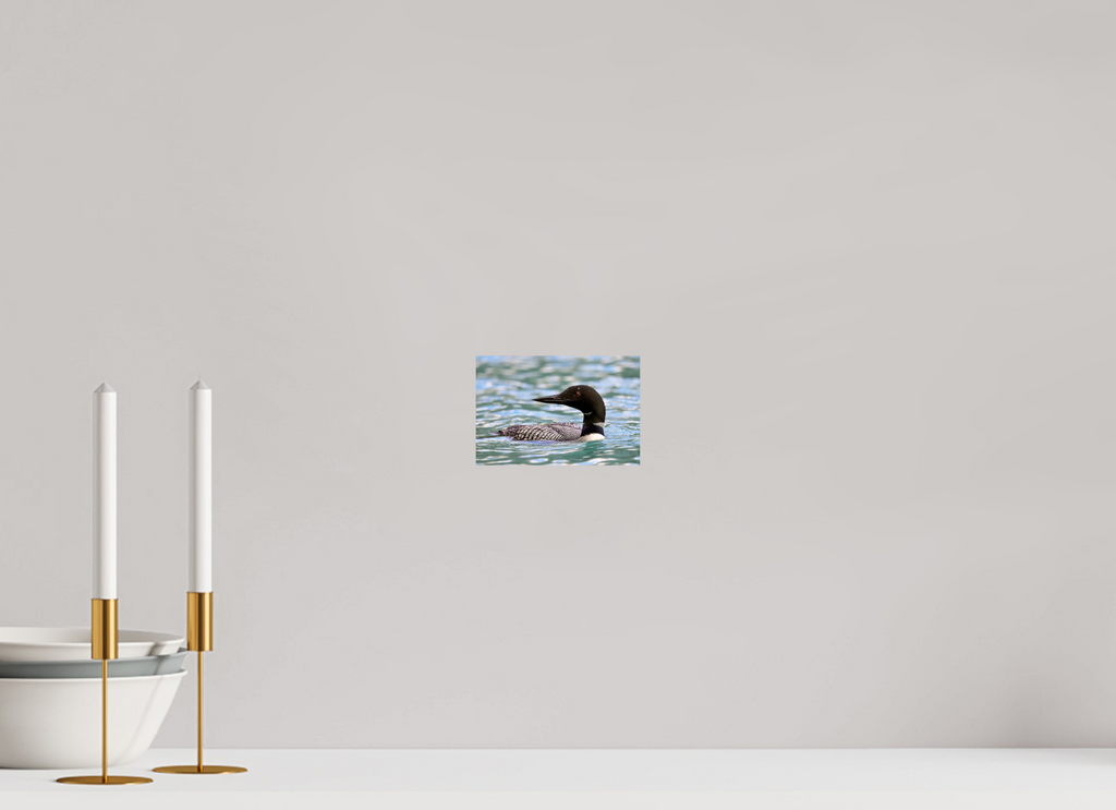 15 x 10 cm, Glossy Fine Print - NO FRAME Common Loon Close-Up – Wildlife Print