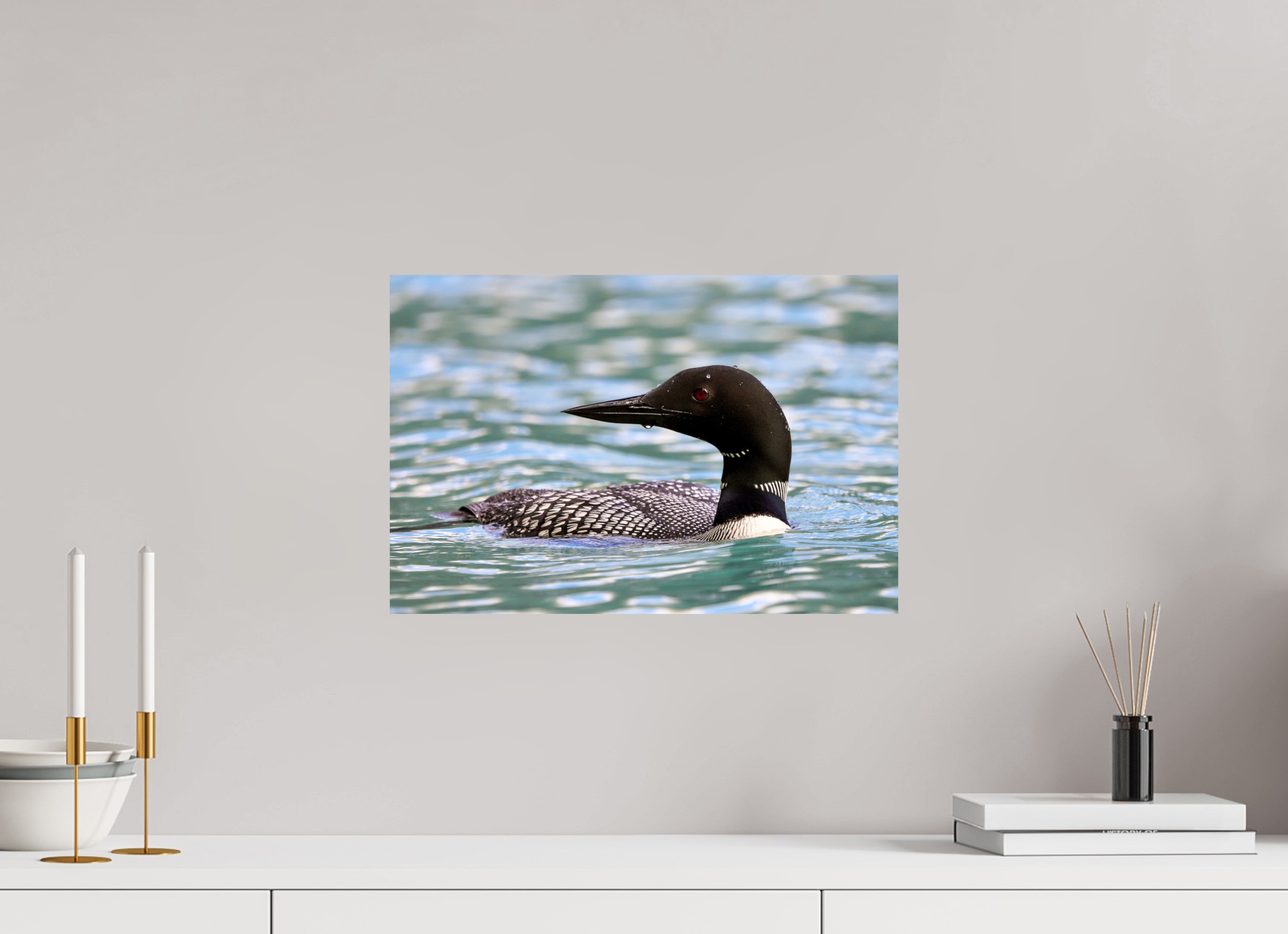 45 x 30 cm, Glossy Fine Print - NO FRAME Common Loon Close-Up – Wildlife Print