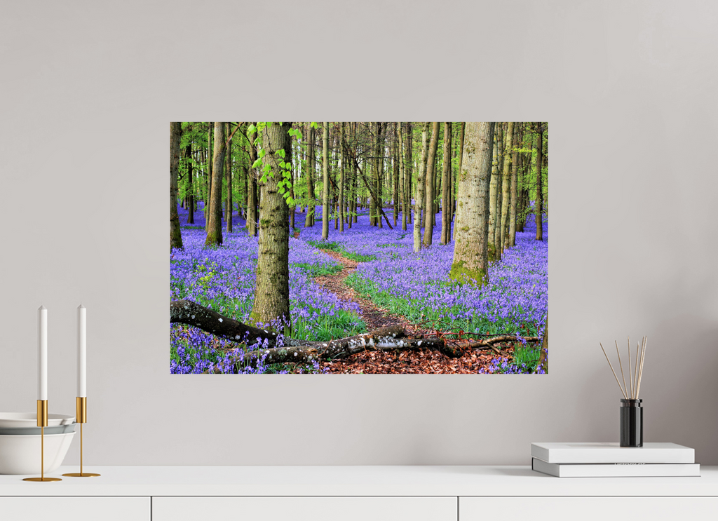 60 x 40 cm, Glossy Fine Print - NO FRAME Bluebell Forest in England – Nature Print