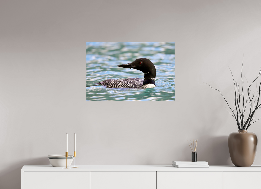 75 x 50 cm, Glossy Fine Print - NO FRAME Common Loon Close-Up – Wildlife Print