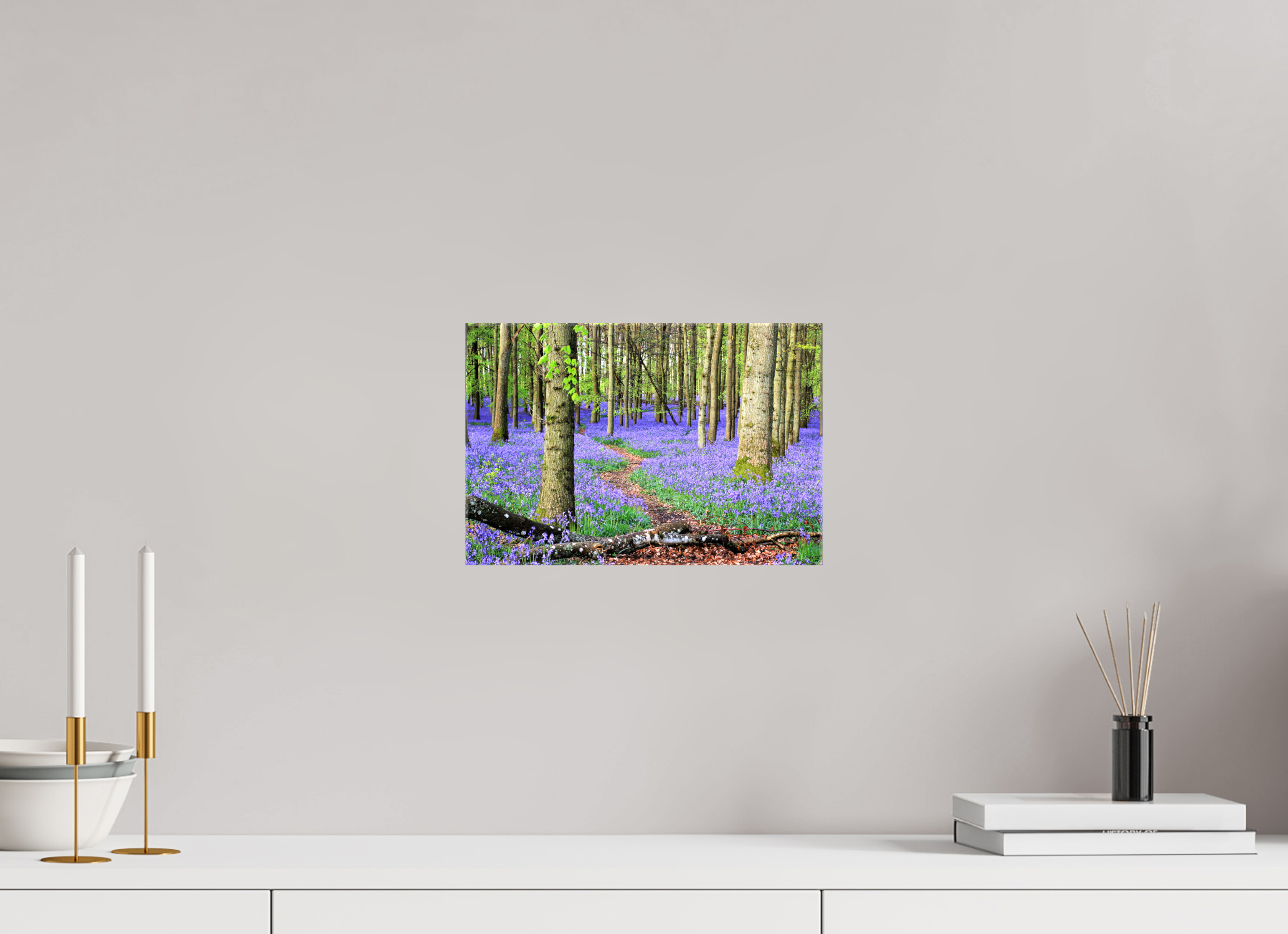 30 x 20 cm, Canvas Print - NO FRAME Bluebell Forest in England – Nature Print