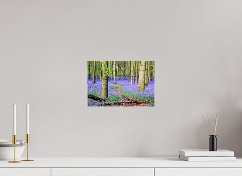 30 x 20 cm, Canvas Print - NO FRAME Bluebell Forest in England – Nature Print