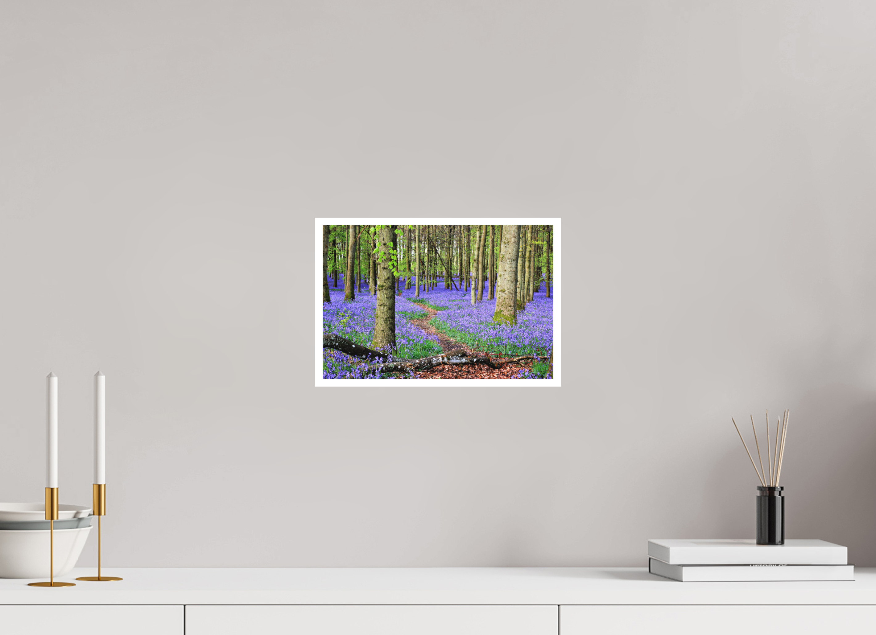 30 x 20 cm, Matte Fine Print - NO FRAME Bluebell Forest in England – Nature Print