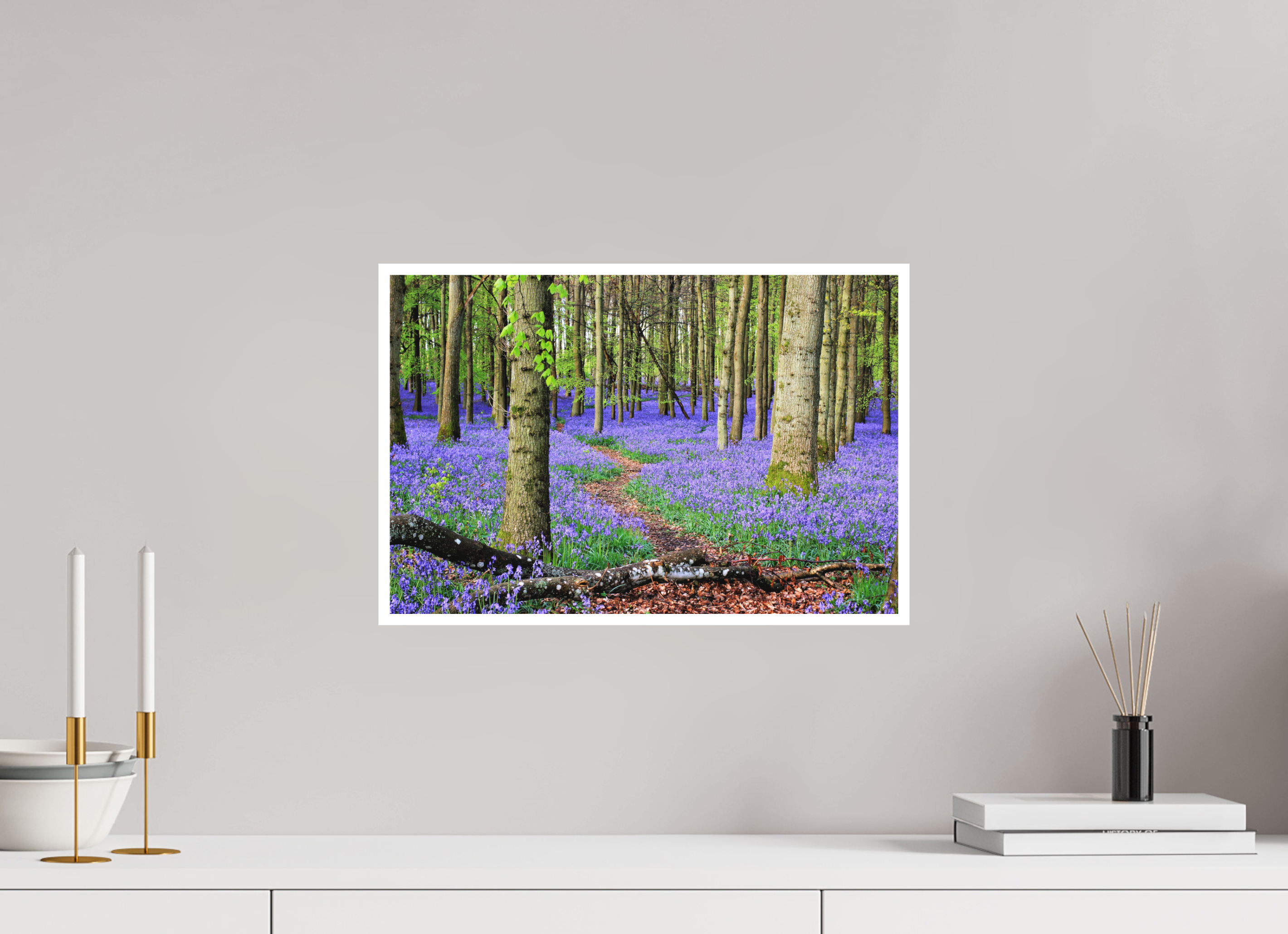 45 x 30 cm, Matte Fine Print - NO FRAME Bluebell Forest in England – Nature Print