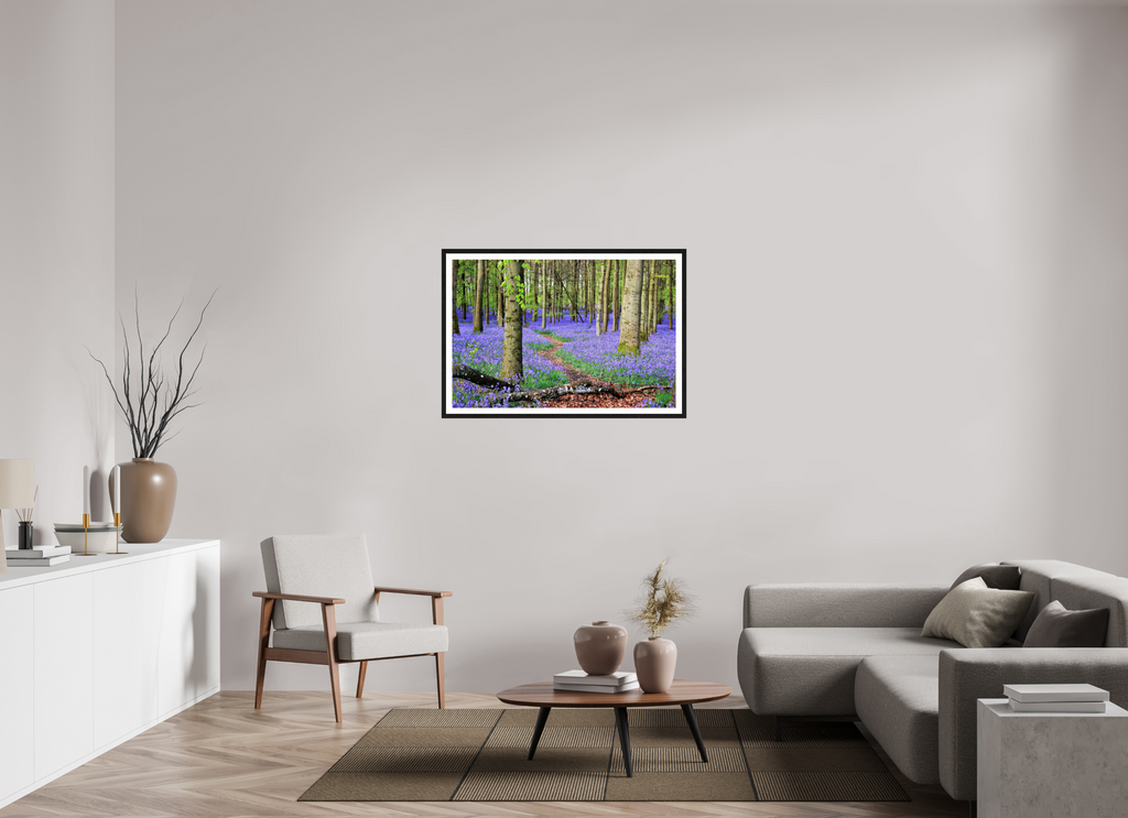 105 x 70 cm, Glossy Fine Art Print with Black Frame Bluebell Forest in England – Nature Print