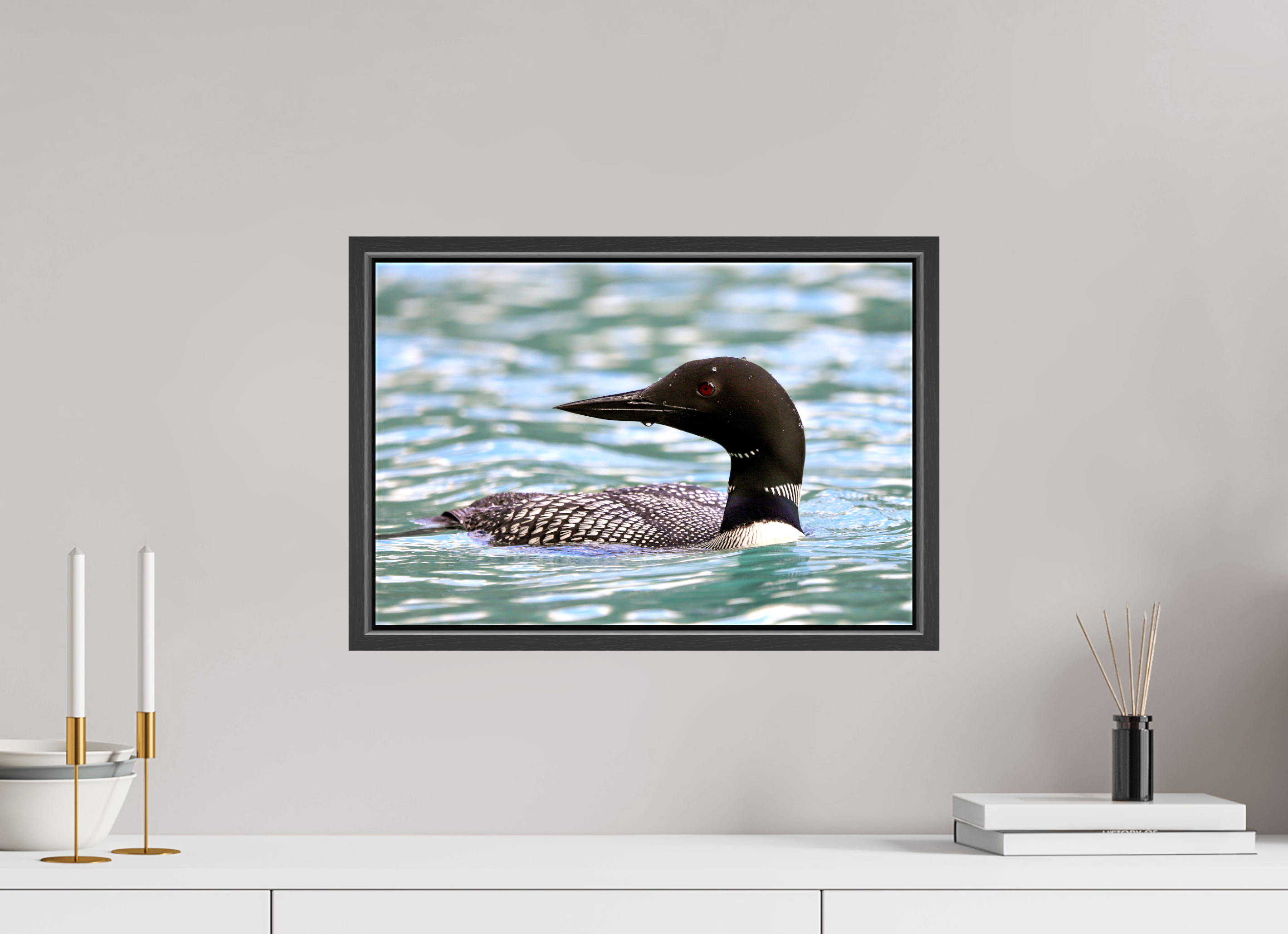 45 x 30 cm, Glossy Canvas with Black Frame Common Loon Close-Up – Wildlife Print