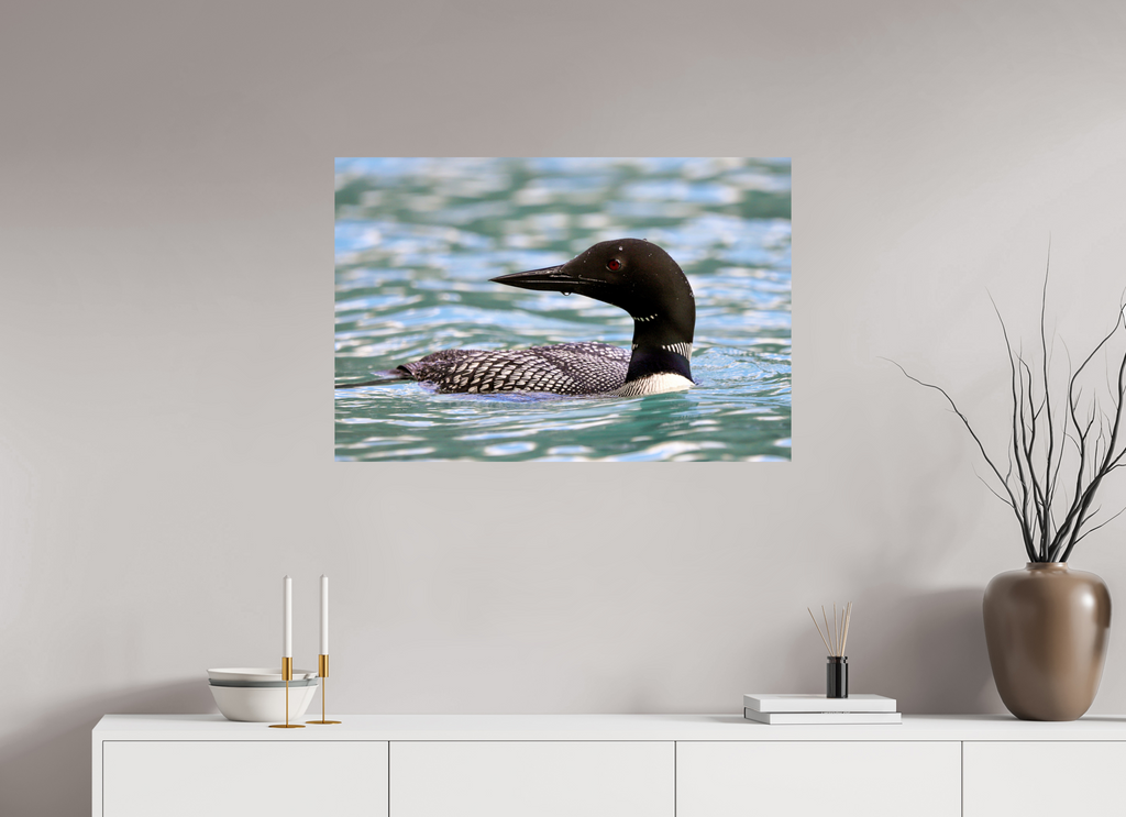 90 x 60 cm, Glossy Fine Print - NO FRAME Common Loon Close-Up – Wildlife Print