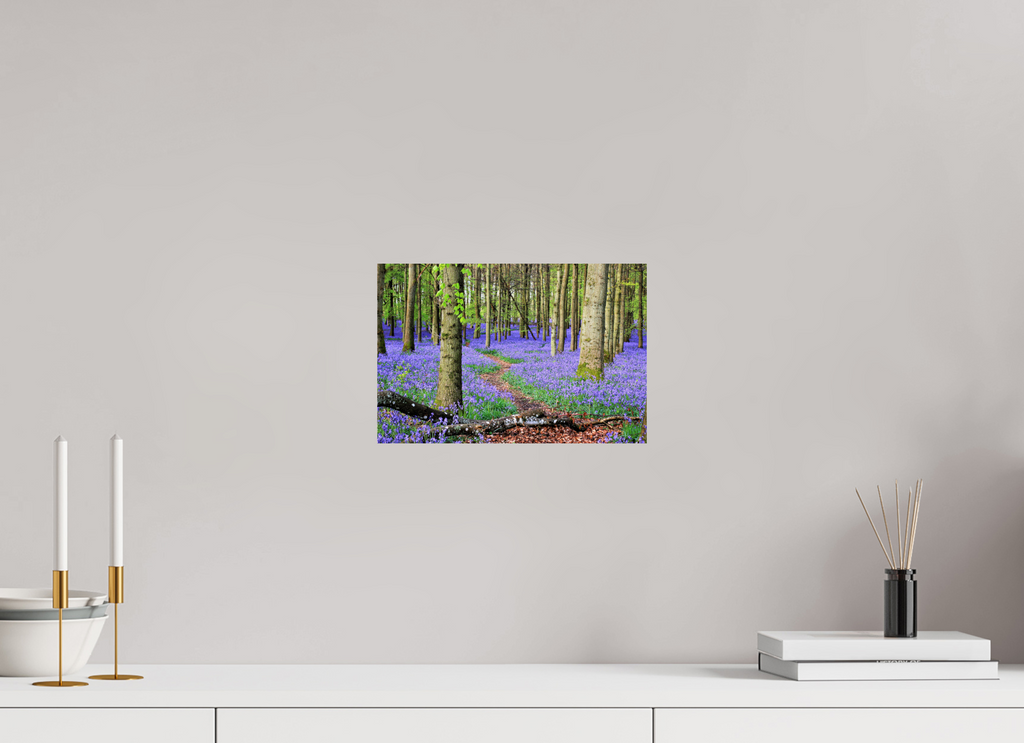 30 x 20 cm, Glossy Fine Print - NO FRAME Bluebell Forest in England – Nature Print