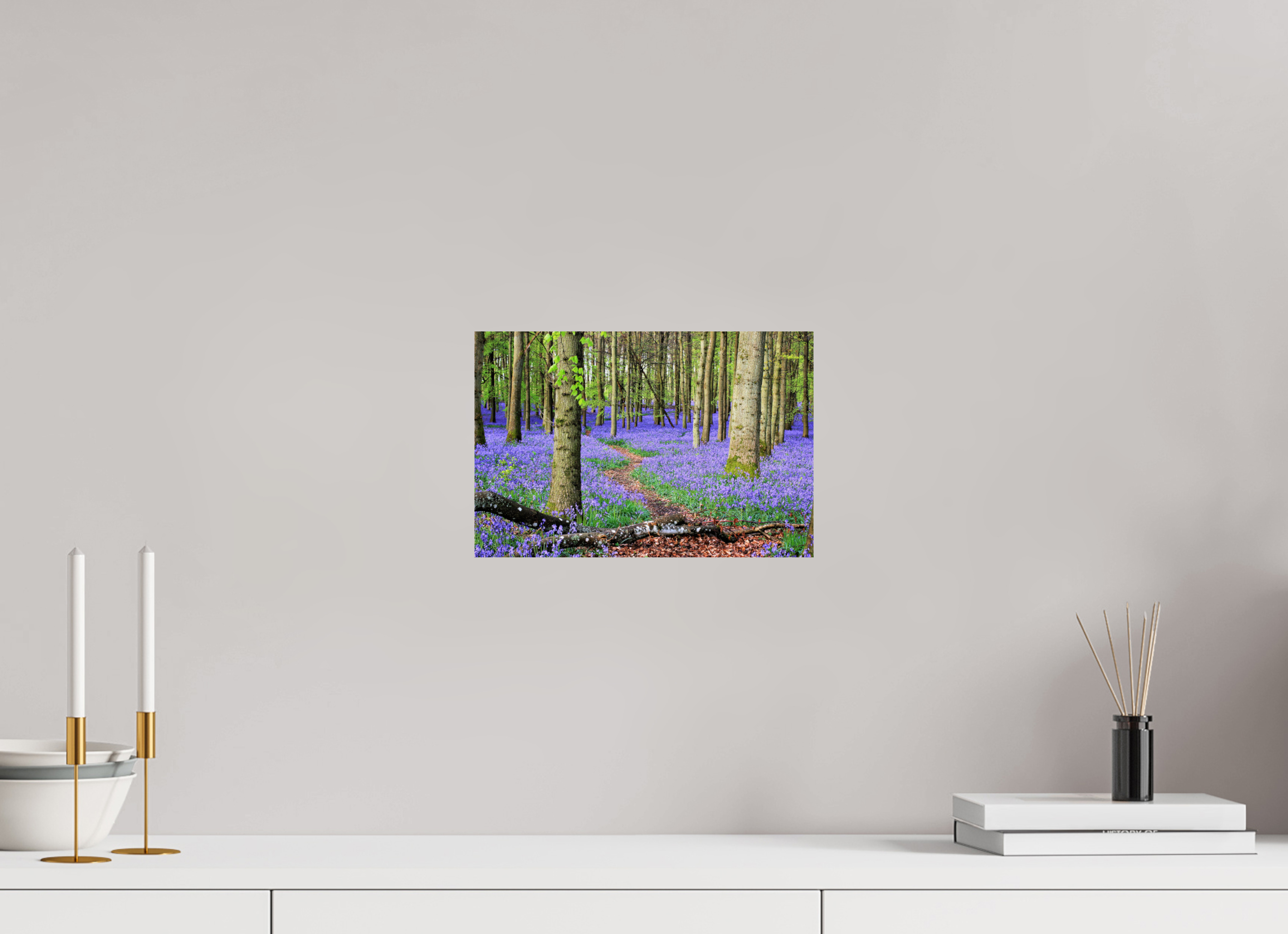 30 x 20 cm, Glossy Fine Print - NO FRAME Bluebell Forest in England – Nature Print