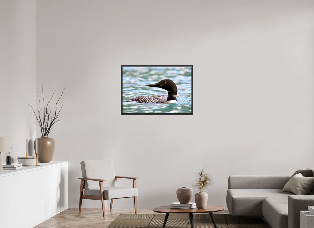 90 x 60 cm, Glossy Canvas with Black Frame Common Loon Close-Up – Wildlife Print