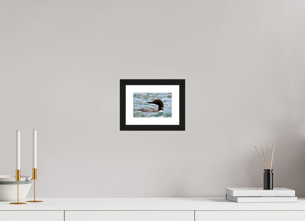 15 x 10 cm, Glossy Fine Art Print with Black Frame Common Loon Close-Up – Wildlife Print
