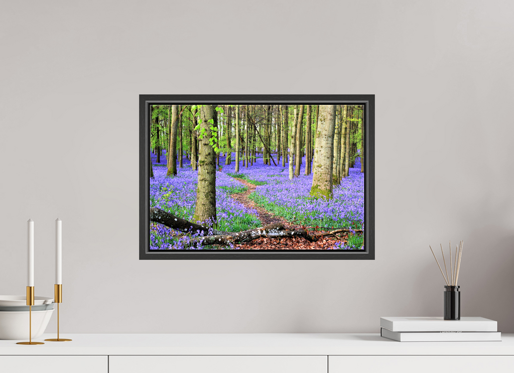45 x 30 cm, Glossy Canvas with Black Frame Bluebell Forest in England – Nature Print