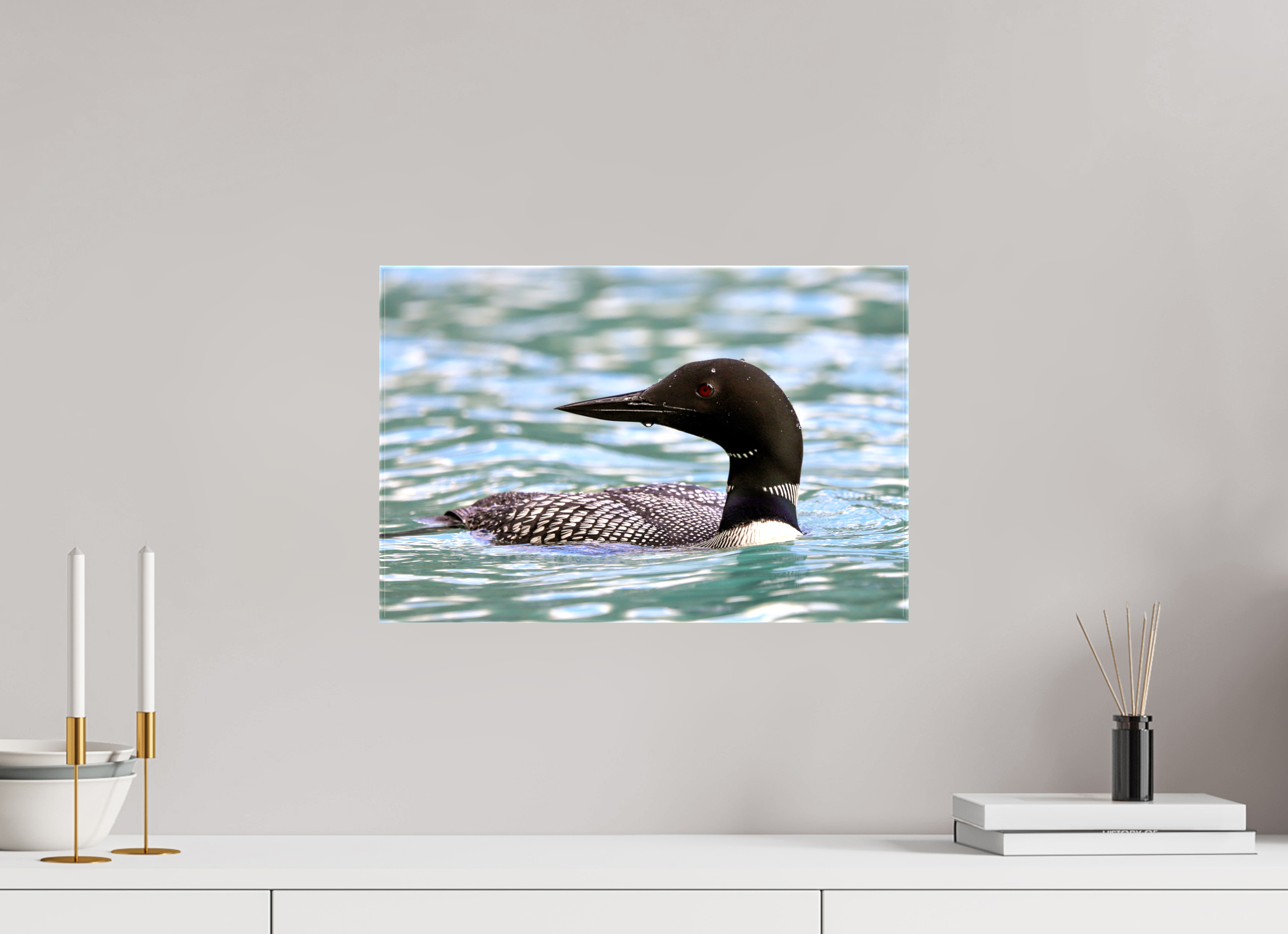 45 x 30 cm, Canvas Print - NO FRAME Common Loon Close-Up – Wildlife Print