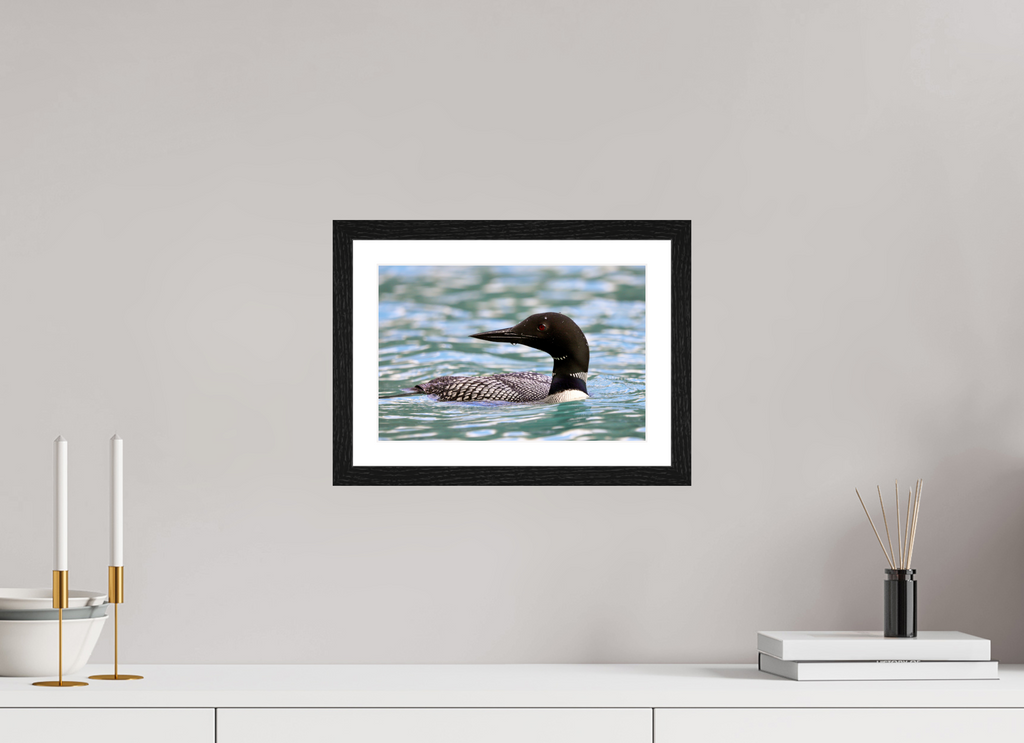 30 x 20 cm, Glossy Fine Art Print with Black Frame Common Loon Close-Up – Wildlife Print